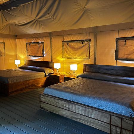 Arenal Backpackers Resort La Fortuna Εξωτερικό φωτογραφία