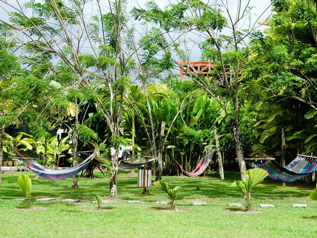 Arenal Backpackers Resort La Fortuna Εξωτερικό φωτογραφία Hammocks in the garden of a hostel in Central America