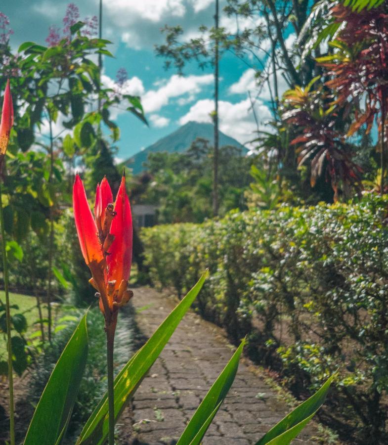Arenal Backpackers Resort La Fortuna Εξωτερικό φωτογραφία A view of Mount Apo