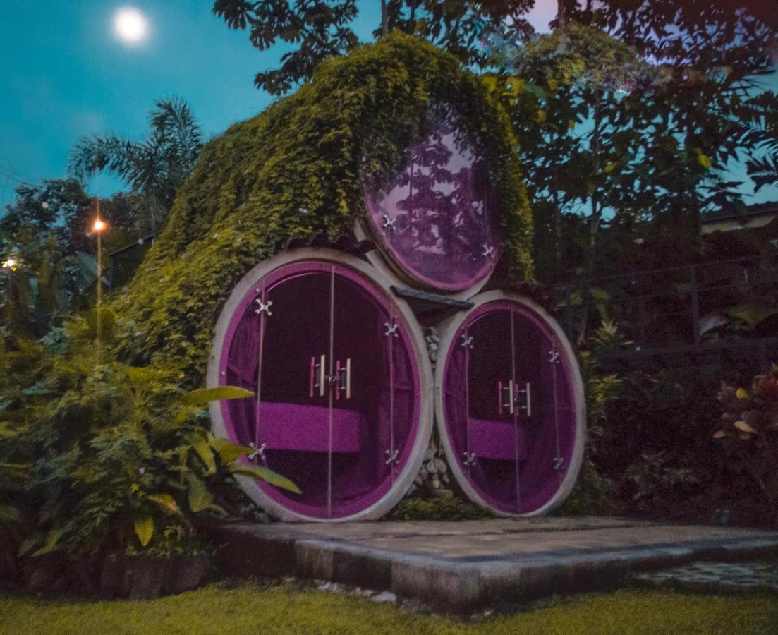 Arenal Backpackers Resort La Fortuna Εξωτερικό φωτογραφία The Hobbit Hole