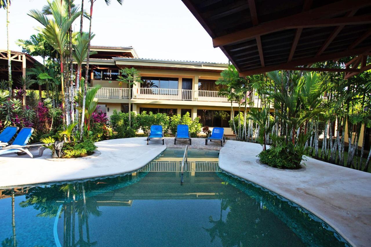 Arenal Backpackers Resort La Fortuna Εξωτερικό φωτογραφία The swimming pool at the hotel