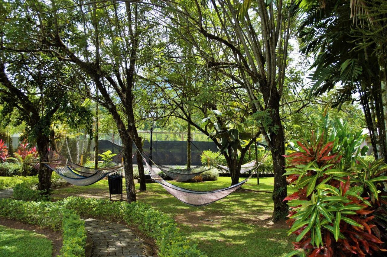 Arenal Backpackers Resort La Fortuna Εξωτερικό φωτογραφία Hammocks at the University of Hawaii at Hilo