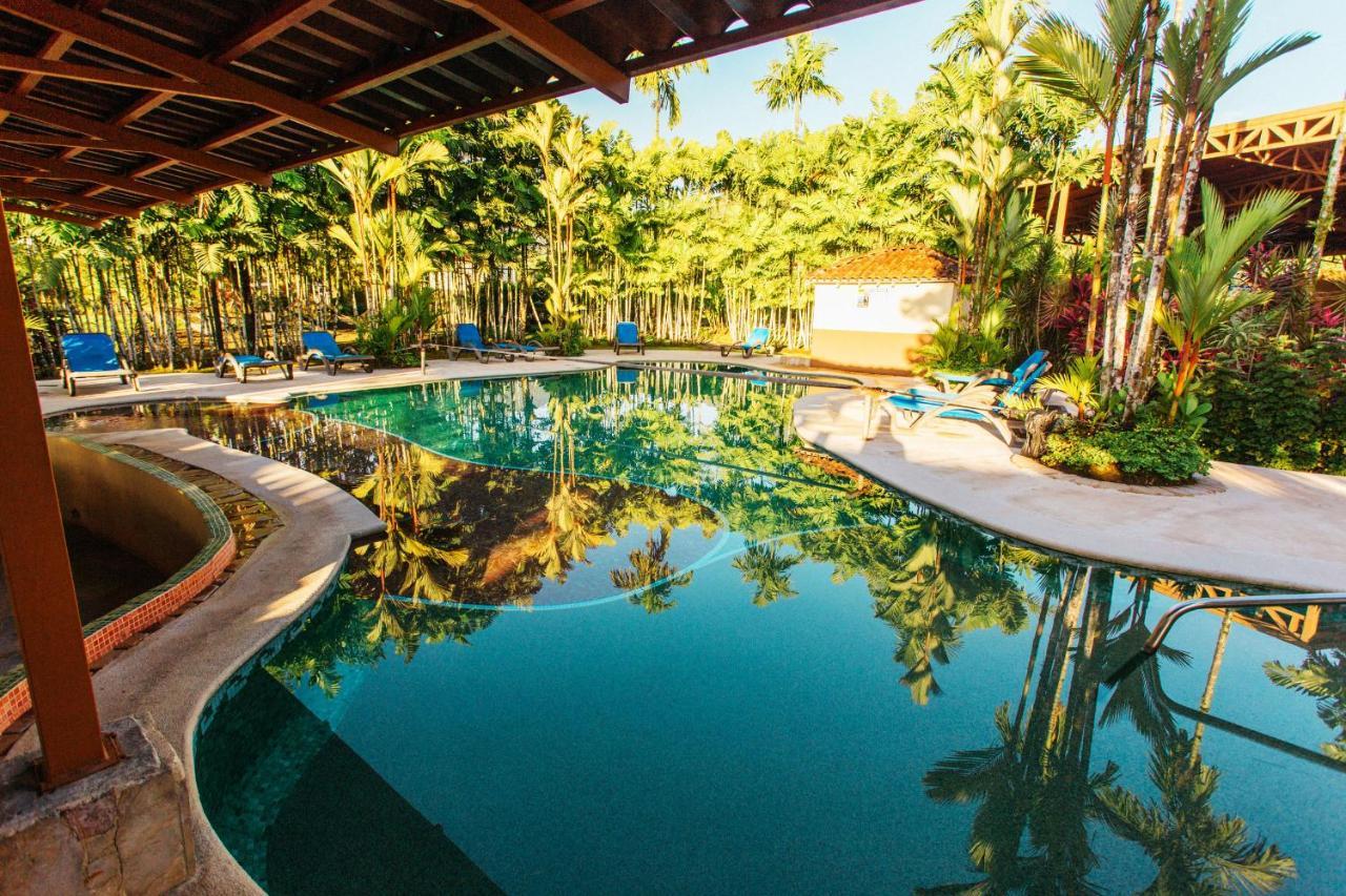 Arenal Backpackers Resort La Fortuna Εξωτερικό φωτογραφία The swimming pool at the resort